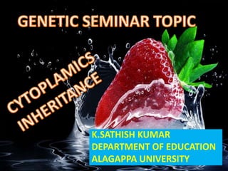 K.SATHISH KUMAR
DEPARTMENT OF EDUCATION
ALAGAPPA UNIVERSITY
GENETIC SEMINAR
TOPIC;
CYTOPLAMICS INHERITANCE
 