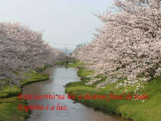 Está escrito na lei: o destino final de todo Espírito é a luz.  