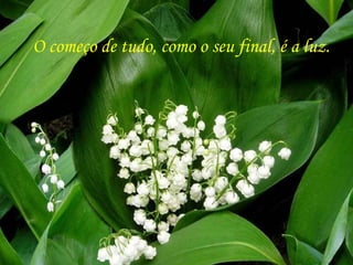 O começo de tudo, como o seu final, é a luz. 