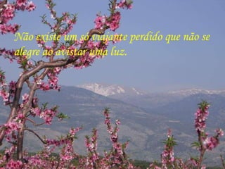 Não existe um só viajante perdido que não se alegre ao avistar uma luz. 