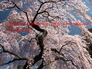 Quando o Espírito ora com fé, caem pétalas de luz sobre ele. 