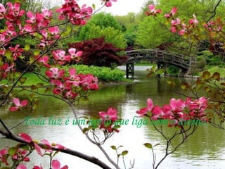 Toda luz é um apelo que liga com o divino. 