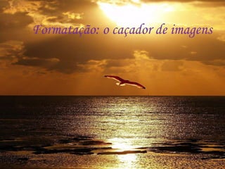 Formatação: o caçador de imagens 