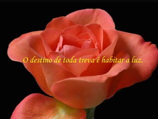 O destino de toda treva é habitar a luz. 