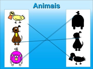 Animais
 