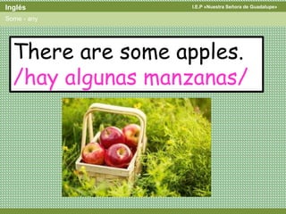I.E.P «Nuestra Señora de Guadalupe»Inglés
Some - any
There are some apples.
/hay algunas manzanas/