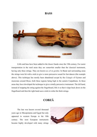 String Instruments Romanian Some instrumente traditionale romanesti-en | PDF