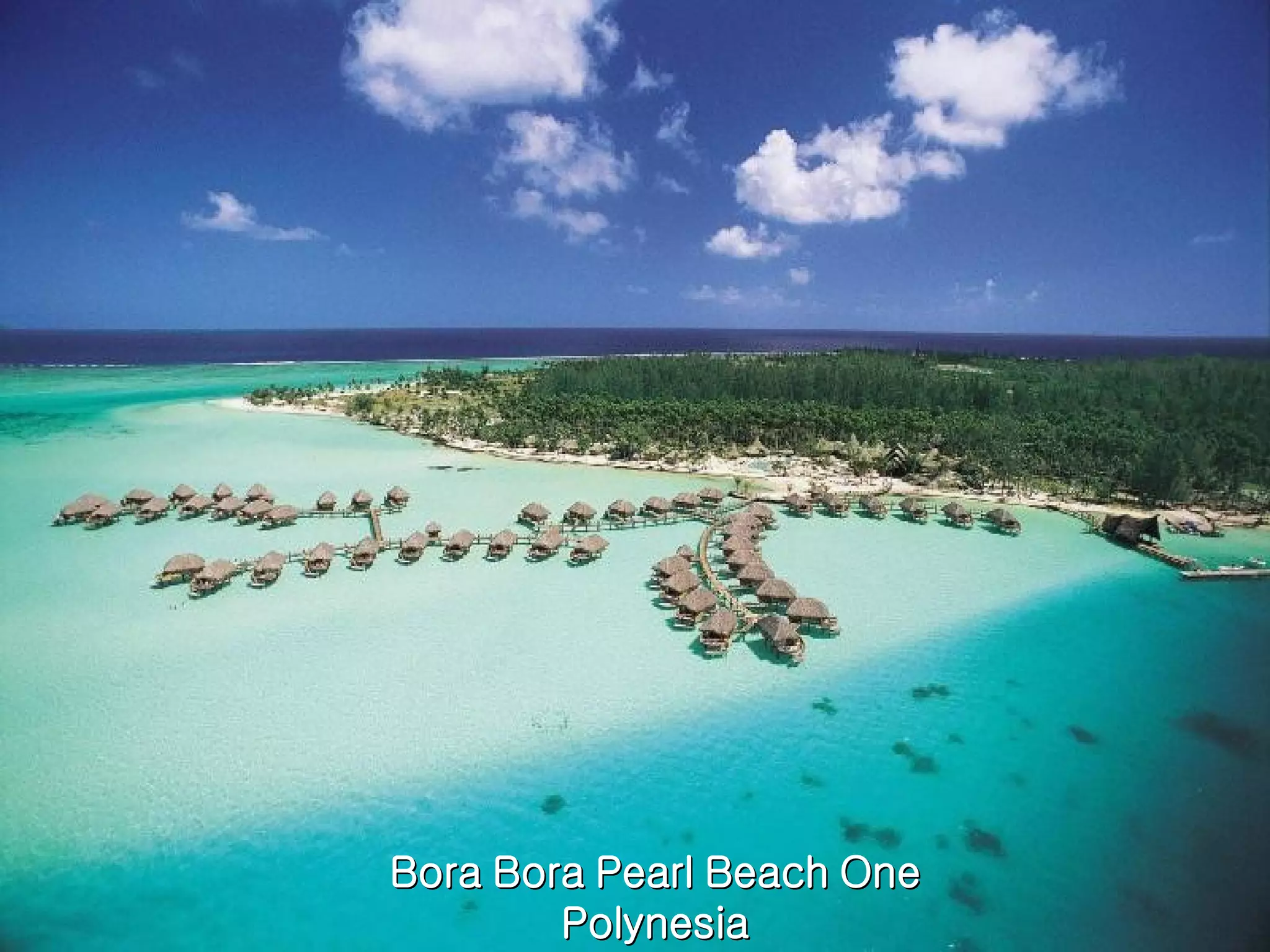 Bora Bora Pearl Beach One Polynesia 