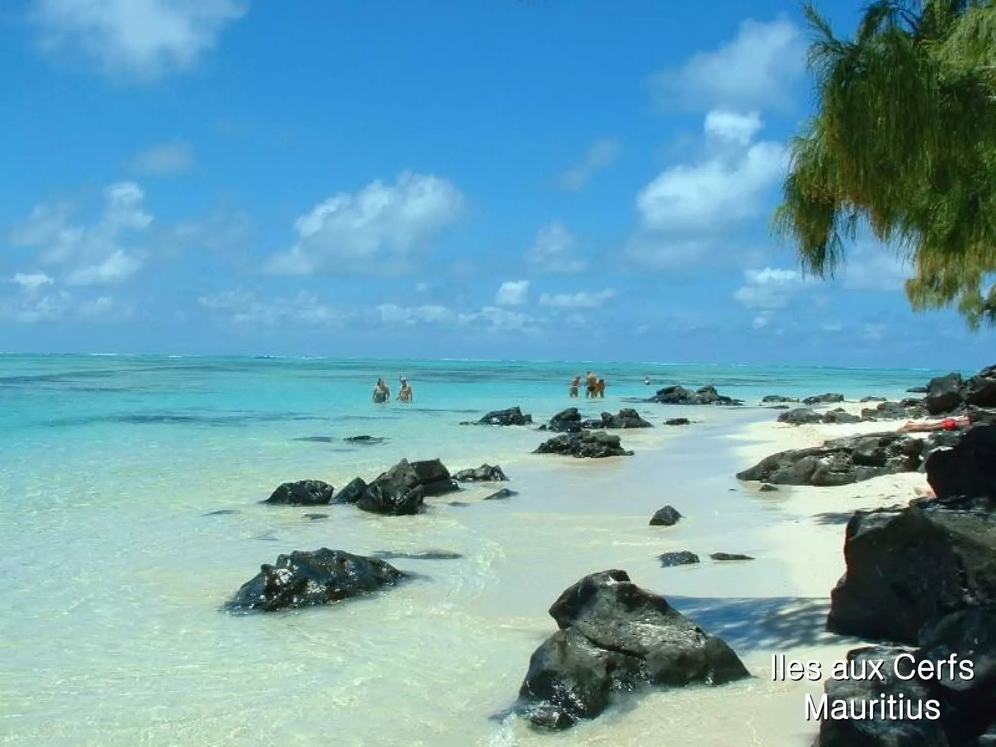 Iles aux Cerfs Mauritius 
