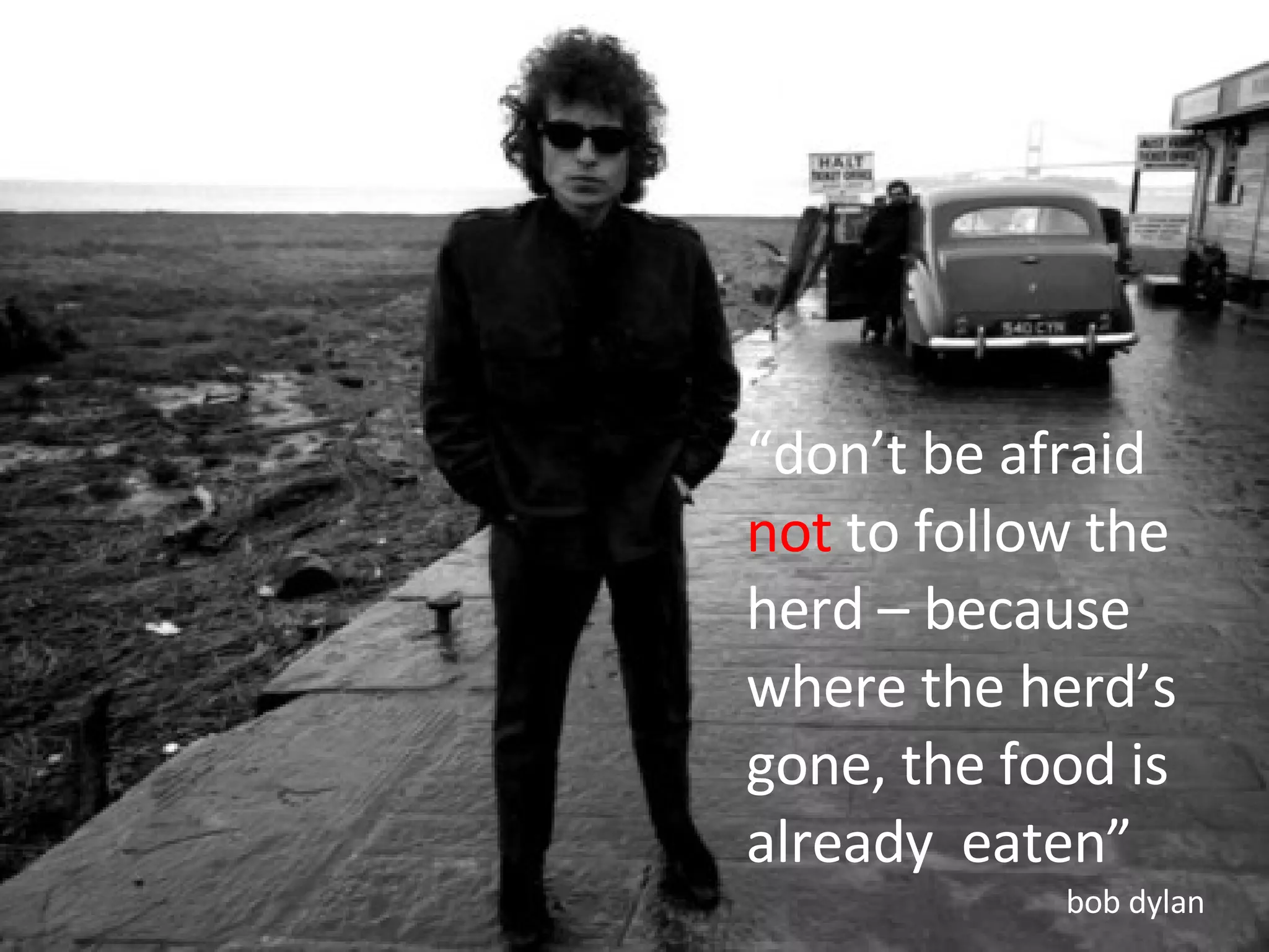 “ don’t be afraid  not  to follow the herd – because where the herd’s gone, the food is already  eaten” bob dylan 