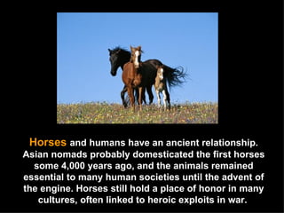 Horses  and humans have an ancient relationship. Asian nomads probably domesticated the first horses some 4,000 years ago, and the animals remained essential to many human societies until the advent of the engine. Horses still hold a place of honor in many cultures, often linked to heroic exploits in war.   