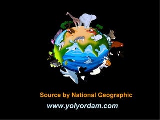 Source by National Geographic www.yolyordam.com 