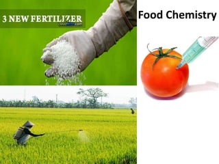 Food Chemistry
 