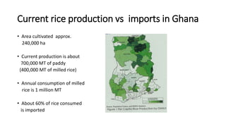 Types Of Rice In Ghana SOME DATA ON RICE IN GHANA.pptx