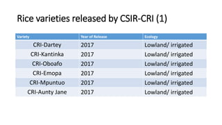 Rice varieties released by CSIR-CRI (1)
Variety Year of Release Ecology
CRI-Dartey 2017 Lowland/ irrigated
CRI-Kantinka 20...