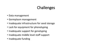 Challenges
• Data management
• Germplasm management
• Inadequate infrastructure for seed storage
• Lack for equipment for ...