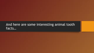 And here are some interesting animal tooth
facts…
 