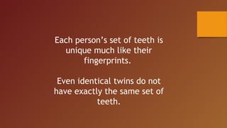 Each person’s set of teeth is
unique much like their
fingerprints.
Even identical twins do not
have exactly the same set of
teeth.
 