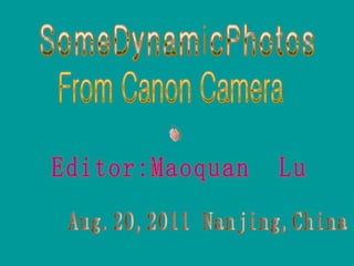 SomeDynamicPhotos Editor:Maoquan  Lu Aug.20,2011 Nanjing,China  From Canon Camera 