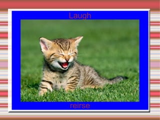 Laugh




reirse
 