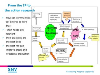Innovation Platforms for Value Chain Development: Experiences from Ghana and Burkina Faso