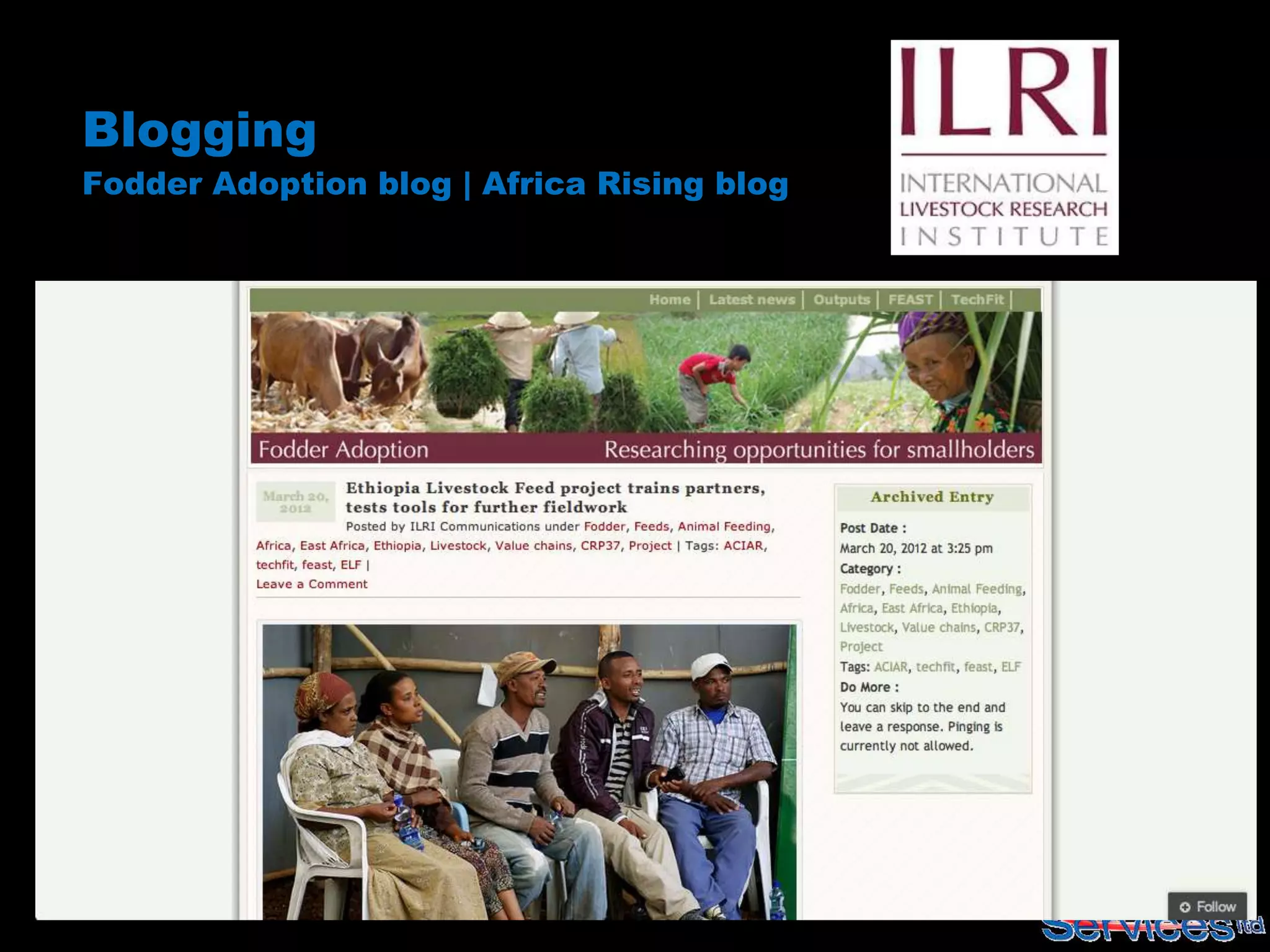 Blogging
Fodder Adoption blog | Africa Rising blog
 