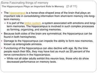 Some Fascinating things of memory
The Hippocampus Plays an Important Role In Memory (2 of 11)
 The hippocampus is a horse-shoe shaped area of the brain that plays an
important role in consolidating information from short-term memory into long-
term memory.
 It is part of the limbic system, a system associated with emotions and long-
term memories. The hippocampus is involved in such complex processes
as forming, organizing, and storing memories.
 Because both sides of the brain are symmetrical, the hippocampus can be
found in both hemispheres.
 Damage to the hippocampus can impede the ability to form new memories,
known as anterograde amnesia.
 Functioning of the hippocampus can also decline with age. By the time
people reach their 80s, they may have lost as much as 20 percent of the
nerve connections in the hippocampus.
 While not all older adults exhibit this neuron loss, those who do show
decreased performance on memory tests.
 