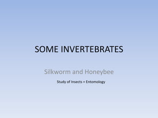 SOME INVERTEBRATES
Silkworm and Honeybee
Study of Insects = Entomology
 