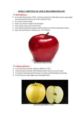 Comprehensive Guide to Major Apple Varieties and Their Characteristics ...