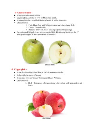 Comprehensive Guide to Major Apple Varieties and Their Characteristics ...