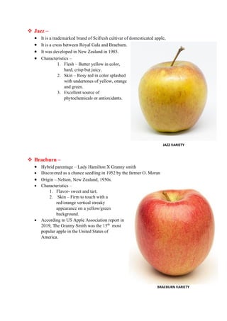 Comprehensive Guide to Major Apple Varieties and Their Characteristics ...