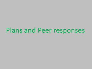 Plans and Peer responses

 