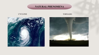 NATURAL PHENOMENA
CYCLONE TORNADO
 
