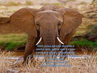 Uma coisaaprendidurante a minhavida, sofrernao e a piorcoisaqueexiste. Desobedecera Deus e a pior de todas as coisas.Sinceramente,Fernanda Torres/2011fftorres65@hotmail.com