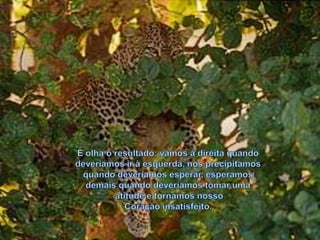 E olha o resultado: vamos à direita quando deveríamos ir à esquerda, nos precipitamos quando deveríamos esperar, esperamos demais quando deveríamos tomar umaatitude e tornamos nosso Coração insatisfeito.