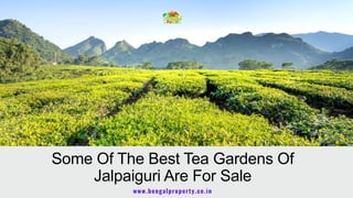 Some Of The Best Tea Gardens Of
Jalpaiguri Are For Sale
www.bengalproperty.co.in
 