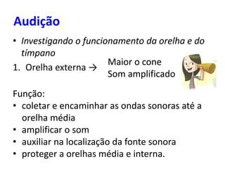 Audição
• Investigando o funcionamento da orelha e do
tímpano
1. Orelha externa →
Maior o cone
Som amplificado
Função:
• coletar e encaminhar as ondas sonoras até a
orelha média
• amplificar o som
• auxiliar na localização da fonte sonora
• proteger a orelhas média e interna.
 