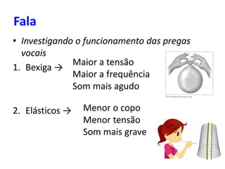 Fala
• Investigando o funcionamento das pregas
vocais
1. Bexiga →
2. Elásticos →
Maior a tensão
Maior a frequência
Som mais agudo
Menor o copo
Menor tensão
Som mais grave
 