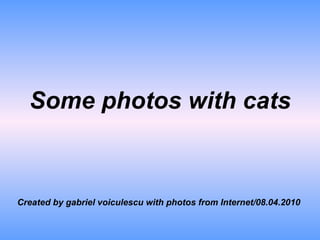 Some photos with cats Created by gabriel voiculescu with photos from Internet/08.04.2010 