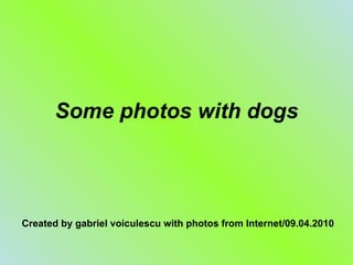 Some photos with dogs Created by gabriel voiculescu with photos from Internet/09.04.2010 