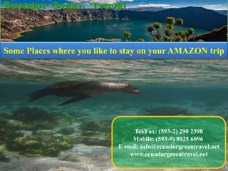 Tel/Fax: (593-2) 290 2398
Mobile: (593-9) 9925 6096
E-mail: info@ecuadorgreentravel.net
www.ecuadorgreentravel.net
Some Places where you like to stay on your AMAZON trip
 