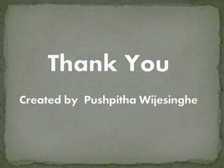 Great Things to Experience in Hobart