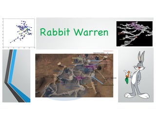 Rabbit Warren
 