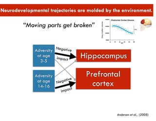 “Moving parts get broken”
 
Neurodevelopmental trajectories are molded by the environment.
Hippocampus
Prefrontal
cortex
Adversity
at age
3-5
Adversity
at age
14-16
Negative
 
impact
Negative
 
impact
Andersen et al., (2008)
 