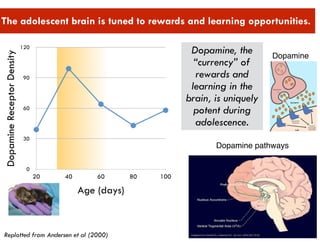 The adolescent brain is tuned to rewards and learning opportunities.
Dopamine
Dopamine pathways
Replotted from Andersen et al (2000)
DopamineReceptorDensity
0
30
60
90
120
Age (days)
20 40 60 80 100
Dopamine, the
“currency” of
rewards and
learning in the
brain, is uniquely
potent during
adolescence.
 