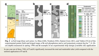 In one year out of three, VRA of P and K significantly increased the total and marketable tuber yield compared with the
uniform application of P and K
 