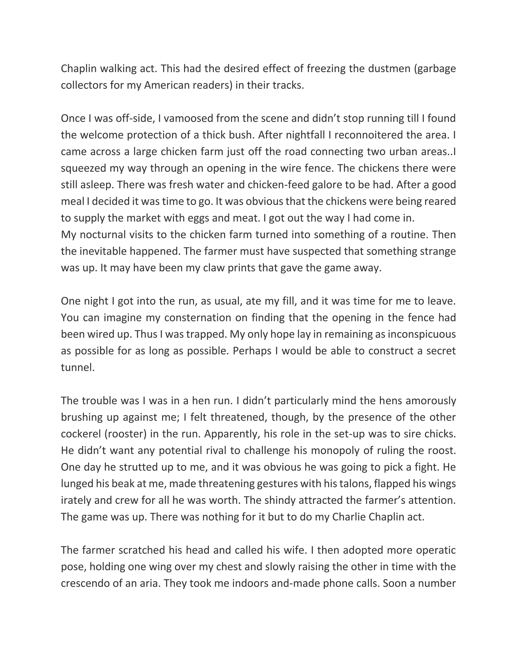 Chaplin walking act. This had the desired effect of freezing the dustmen (garbage
collectors for my American readers) in their tracks.
Once I was off-side, I vamoosed from the scene and didn’t stop running till I found
the welcome protection of a thick bush. After nightfall I reconnoitered the area. I
came across a large chicken farm just off the road connecting two urban areas..I
squeezed my way through an opening in the wire fence. The chickens there were
still asleep. There was fresh water and chicken-feed galore to be had. After a good
meal I decided it was time to go. It was obvious that the chickens were being reared
to supply the market with eggs and meat. I got out the way I had come in.
My nocturnal visits to the chicken farm turned into something of a routine. Then
the inevitable happened. The farmer must have suspected that something strange
was up. It may have been my claw prints that gave the game away.
One night I got into the run, as usual, ate my fill, and it was time for me to leave.
You can imagine my consternation on finding that the opening in the fence had
been wired up. Thus I was trapped. My only hope lay in remaining as inconspicuous
as possible for as long as possible. Perhaps I would be able to construct a secret
tunnel.
The trouble was I was in a hen run. I didn’t particularly mind the hens amorously
brushing up against me; I felt threatened, though, by the presence of the other
cockerel (rooster) in the run. Apparently, his role in the set-up was to sire chicks.
He didn’t want any potential rival to challenge his monopoly of ruling the roost.
One day he strutted up to me, and it was obvious he was going to pick a fight. He
lunged his beak at me, made threatening gestures with his talons, flapped his wings
irately and crew for all he was worth. The shindy attracted the farmer’s attention.
The game was up. There was nothing for it but to do my Charlie Chaplin act.
The farmer scratched his head and called his wife. I then adopted more operatic
pose, holding one wing over my chest and slowly raising the other in time with the
crescendo of an aria. They took me indoors and-made phone calls. Soon a number
 