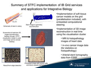 Summary of STFC implementation   of IB Grid services and applications for Integrative Biology Implementation of soft tissue cancer models on the grid (parallelisation included), with embedded computational steering  Implementation of 3D image reconstruction in real time using the visualisation cluster MRI & histopathology images of heart data in-vivo cancer image data (for statistics on histopathology) Arterial stent tomography data from ESRF Schematic of stent in artery Stent image to geometry reconstruction Processed image with tumour cells and blood vessels highlighted Result from edge detection  Screenshot of real-time 3D image reconstruction, halfway through. STFC visualization cluster is used and image sent to remote desktop 