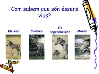 Com sabem que són éssers 
vius? 
Es 
Neixen Moren 
Creixen reprodueixen 
 