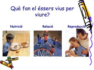 Què fan el éssers vius per 
viure? 
Nutrició Relació Reproducció 
 